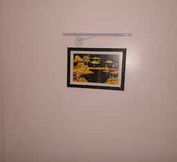 foto43