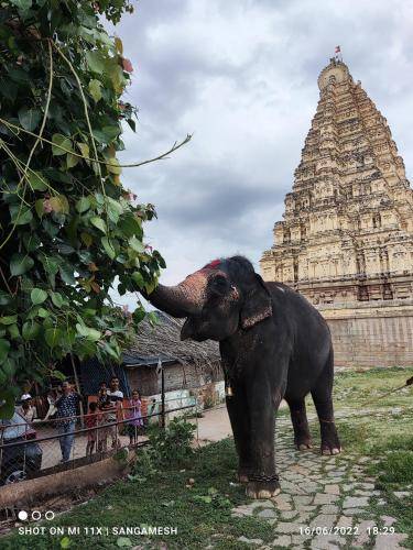 Bed and breakfast Hampi