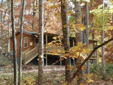 Cabin Hendersonville