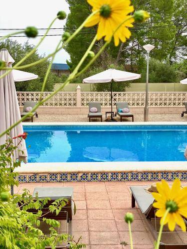 Bed & Breakfast Agres