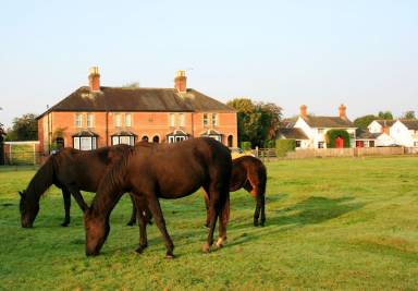 Cottage Lyndhurst