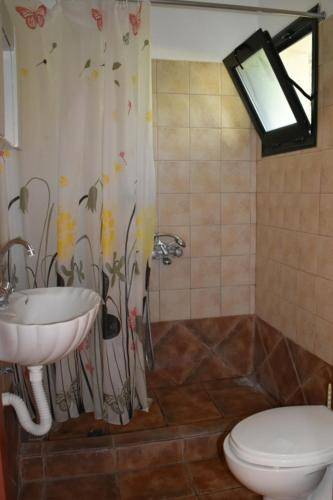 foto9