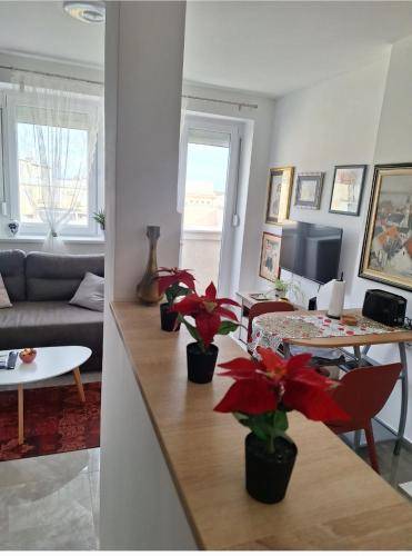 Apartma Zemun