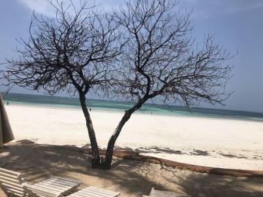 Ferienwohnung Galu Beach