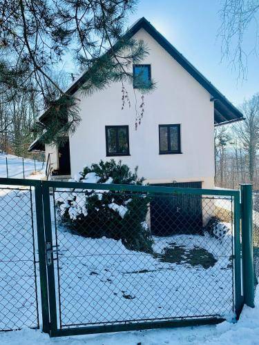 foto16