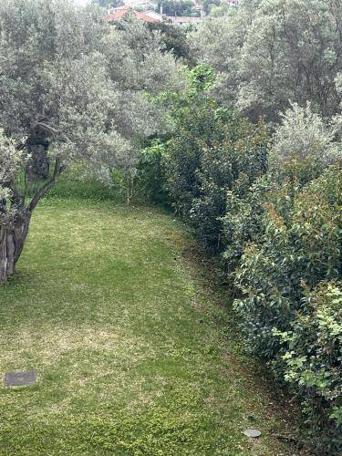 Ionian Bay Studios — photo 5