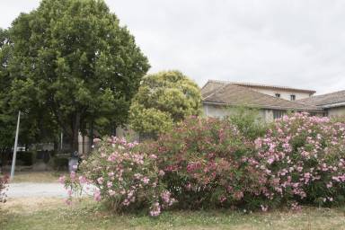 Appartement Carcassonne