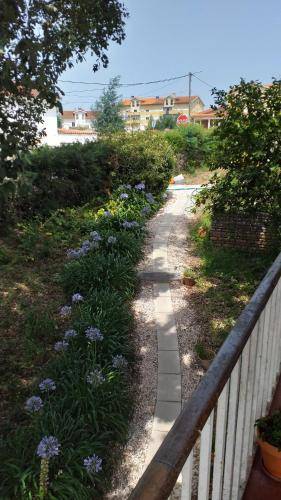 foto15