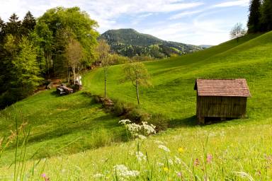 Apartment Bad Peterstal-Griesbach