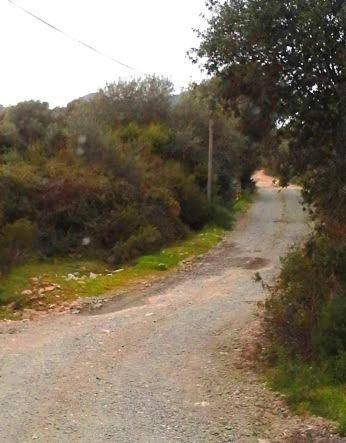 foto38