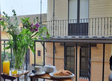 Apartamento Barrio de Santa Cruz