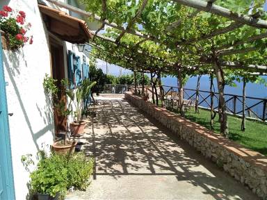 Appartement 50 m²