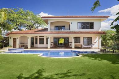 House Iguana