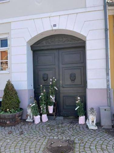 Bed & Breakfast Stege