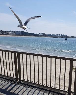 Appartement Quiberon