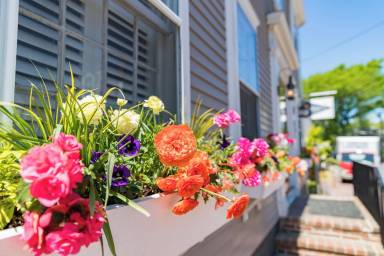 Bed and breakfast Nantucket