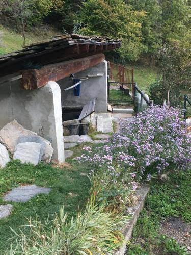 foto6