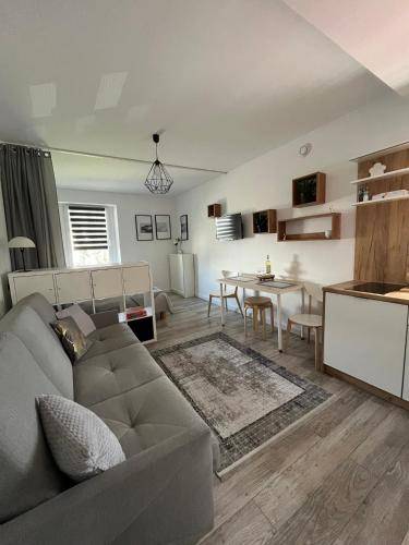 Apartament Lądek-Zdrój
