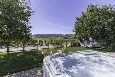 House Fireplace Healdsburg