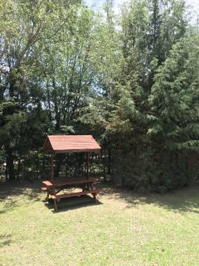 Cabin  Ignacio Zaragoza
