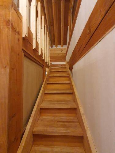 foto7