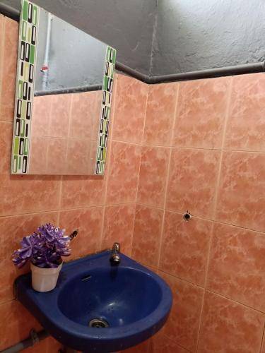 foto15