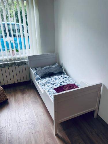 foto11