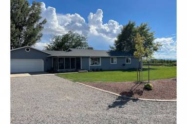 Farmhouse Yard Palisade