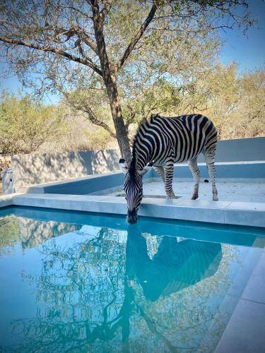 Villa Marloth Park