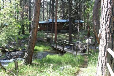 Cabin Story