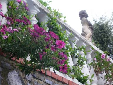 Appartamento 90 m²