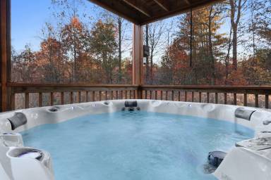 Cabin  Ellijay