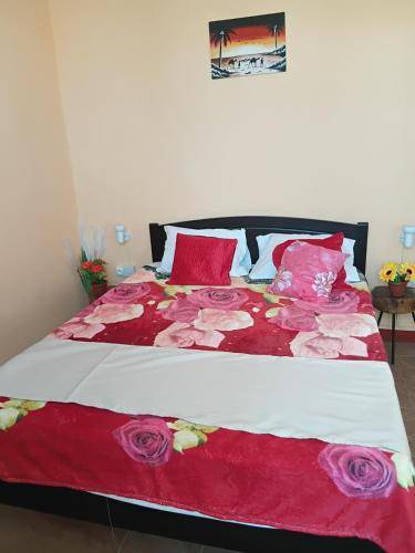 Bed & Breakfast Surinam