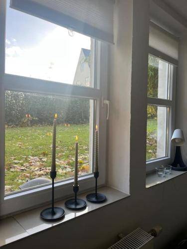 foto1
