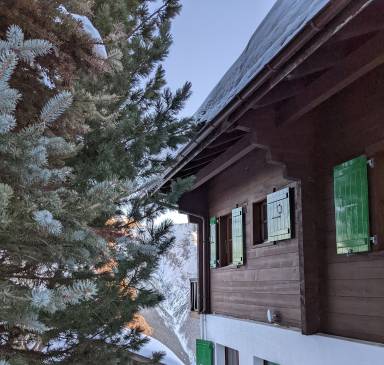 Chalet Riederalp