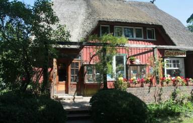 Wohnung in Prerow mit Terrasse, Grill & Garten