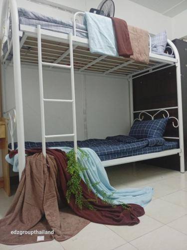 foto11