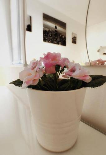 foto9