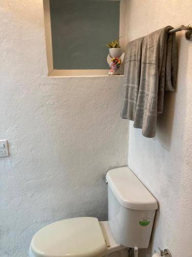 foto7