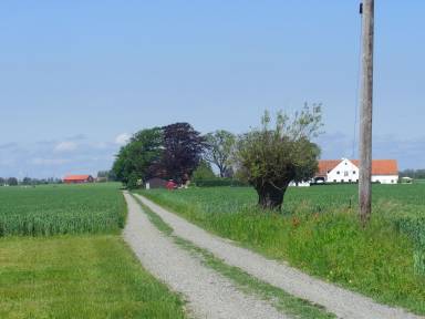 Apartment  Spraggehusen