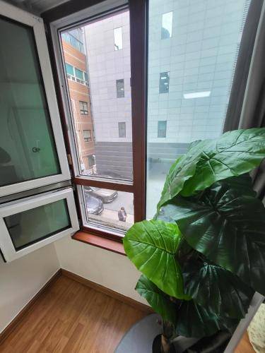 foto7