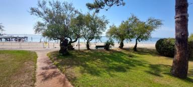 Appartement Le Cap Ferret