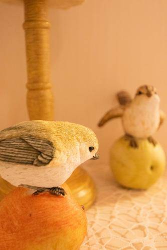 foto15