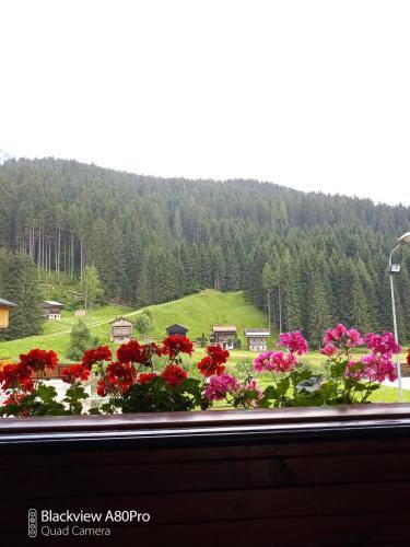 Apartma Sappada