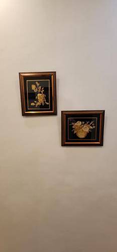 foto19