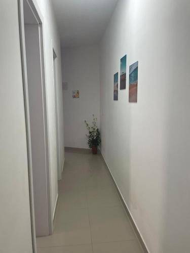 Apartment  Piçarras