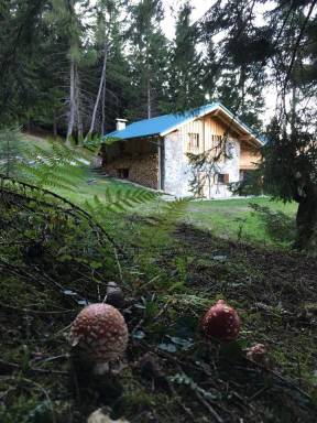 Ferienhaus in Pieve Di Bono mit Grill, Garten und Sauna