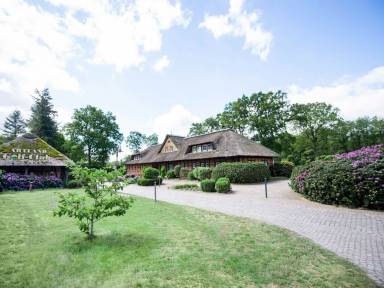 Ferienwohnung  Alfsee