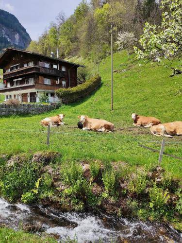 Ferienhaus  Reuti
