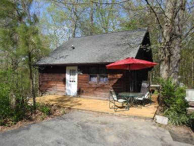 Cabin Carbondale